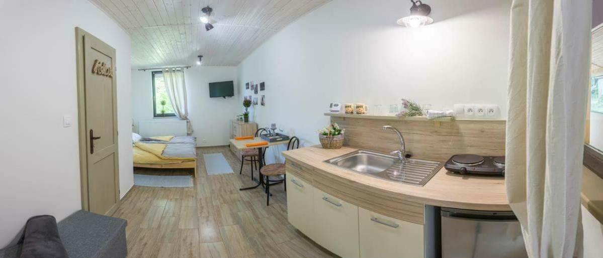 Pod Horou Apartment Stiavnicke Bane Exterior foto